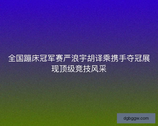 全国蹦床冠军赛严浪宇胡译乘携手夺冠展现顶级竞技风采